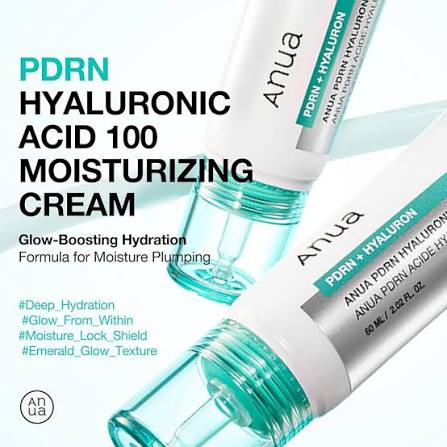 Anua PDRN + Hyaluronic Acid 100 Moisturizing Cream 60ml